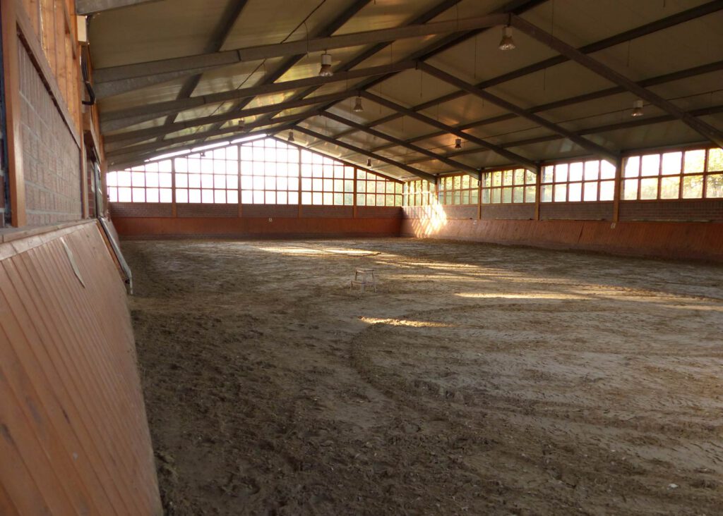 Reithalle-alt-pferde-rump